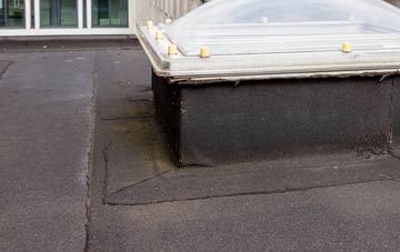 disadvantages of Fiunary flat roofs