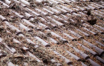 Fiunary roof cleaning companies