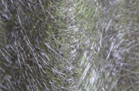 Fiunary fibreglass roof work