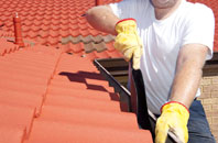 Fiunary roof cleaners